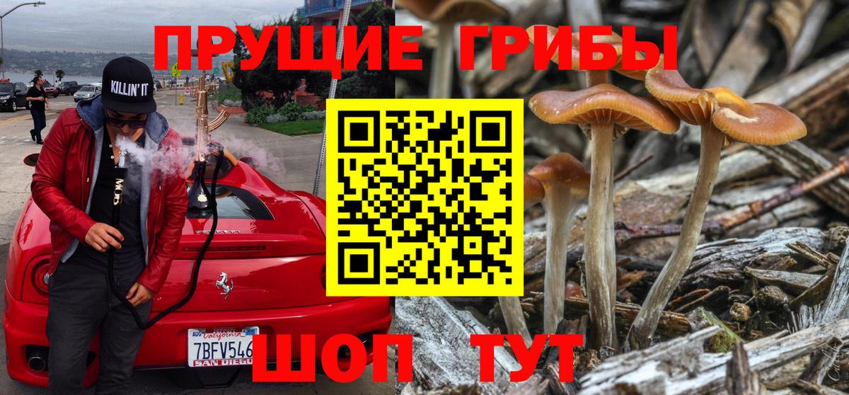 где найти наркотики  Галлюциногенные грибы GOLDEN TEACHER  Вход с VPN  Семилуки 
