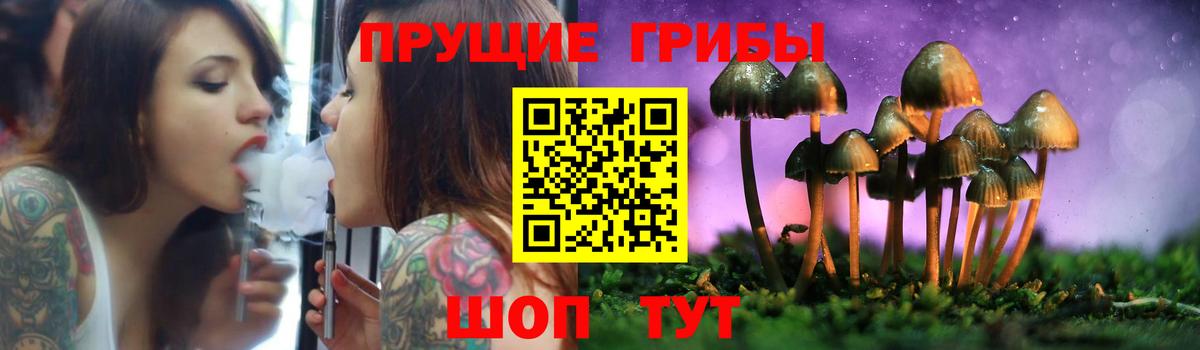 Псилоцибиновые грибы GOLDEN TEACHER Семилуки